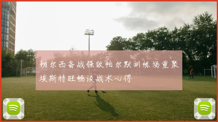 切尔西备战强敌帕尔默训练场重聚埃斯特旺畅谈战术心得