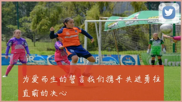 为爱而生的誓言我们携手共进勇往直前的决心